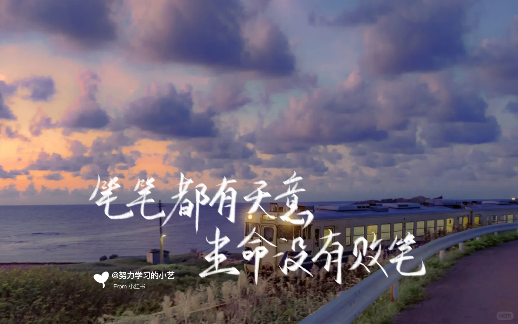 春天神极壁纸也太好看了吧！✨✨