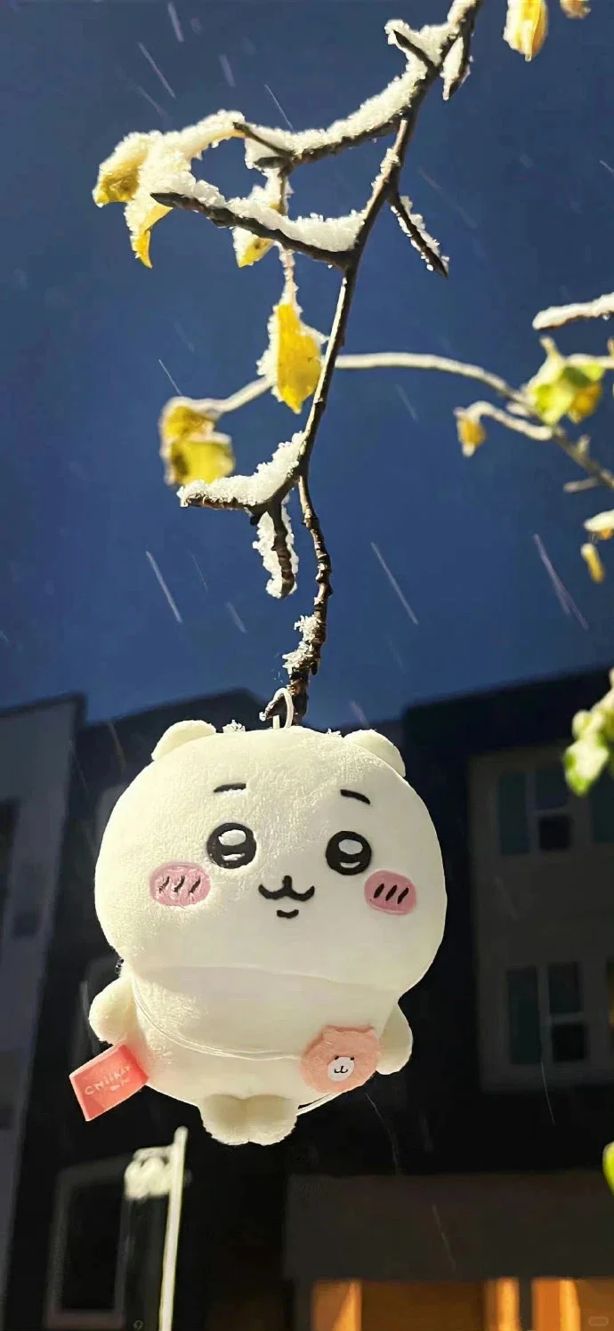 哇！是8K壁纸！这也太酷了吧！
