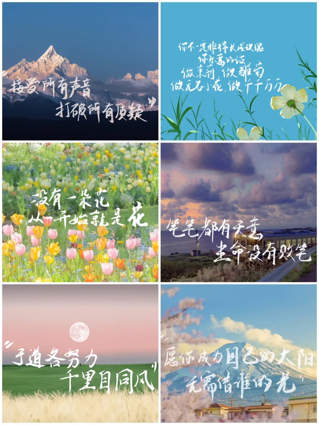 春天神极壁纸也太好看了吧！✨✨