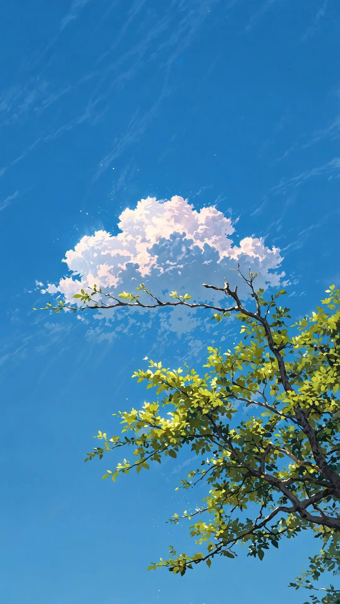 晒晒你拍的天空🪂🪂