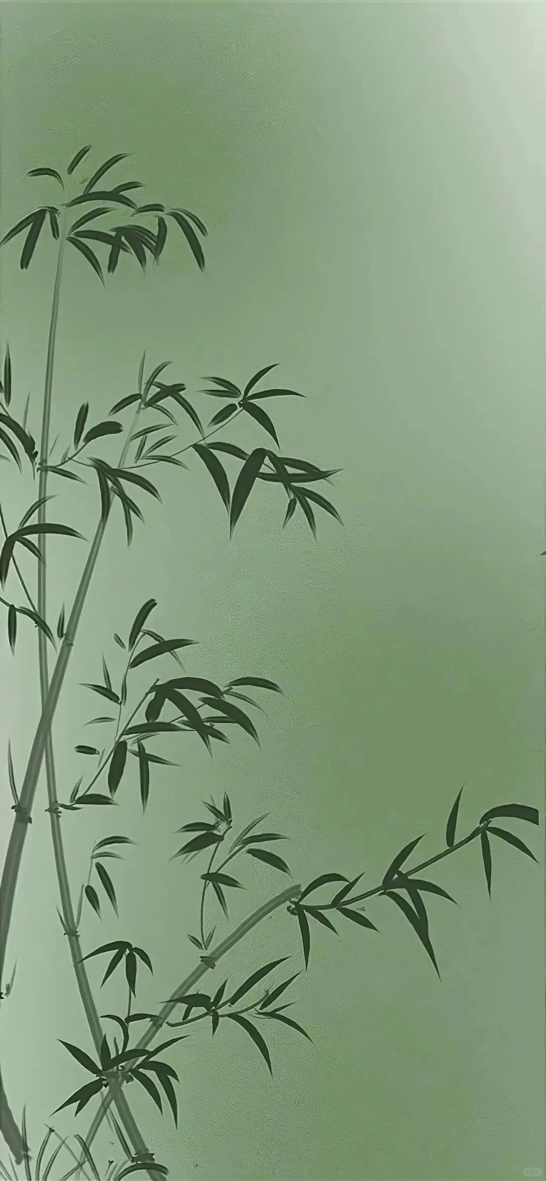 玄学相壁纸~喜木or木为喜用神的宝宝可以用！
