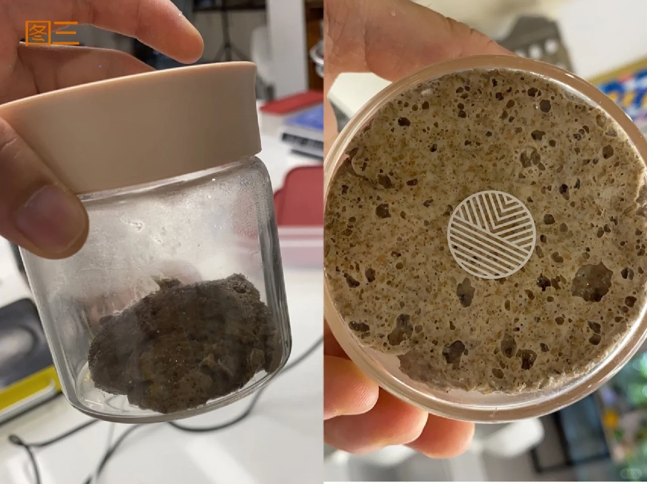鲁邦种（天然酵母种）详细教程来了