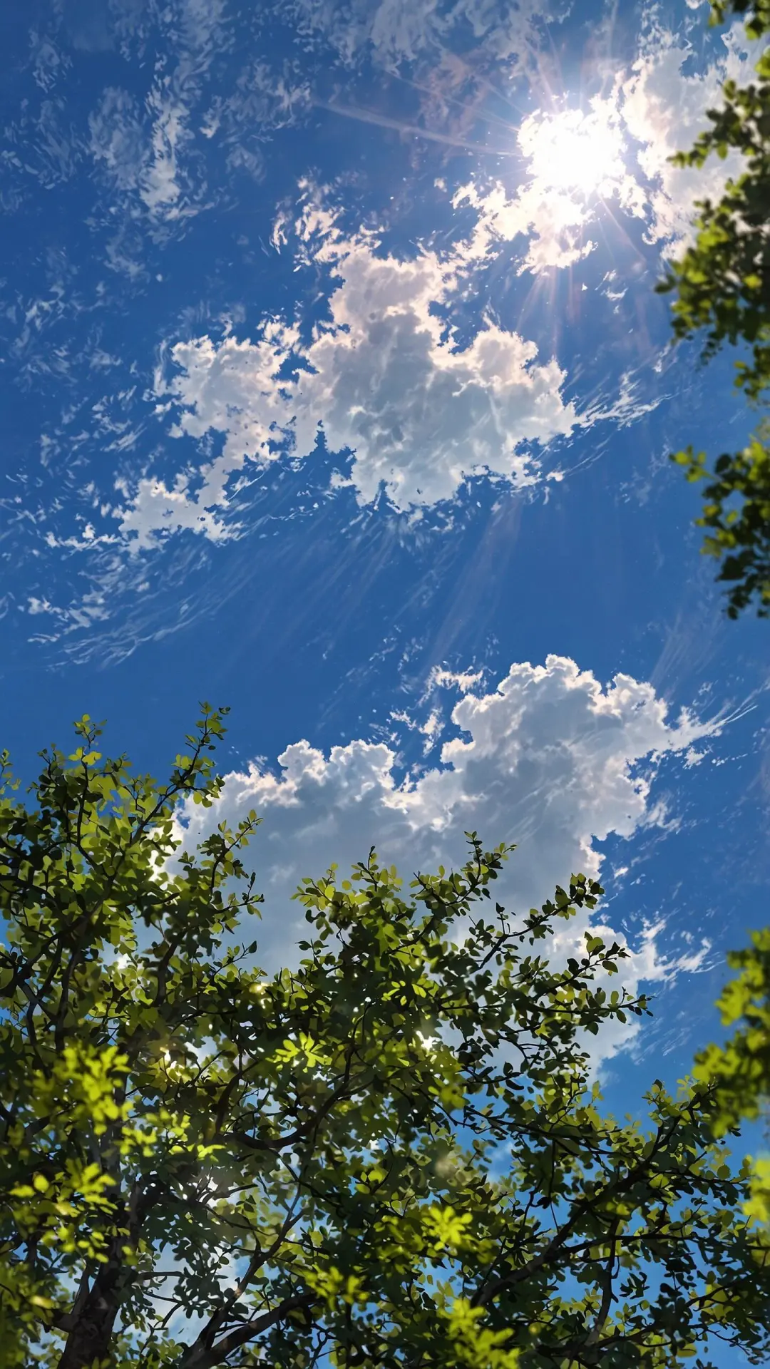 晒晒你拍的天空🪂🪂