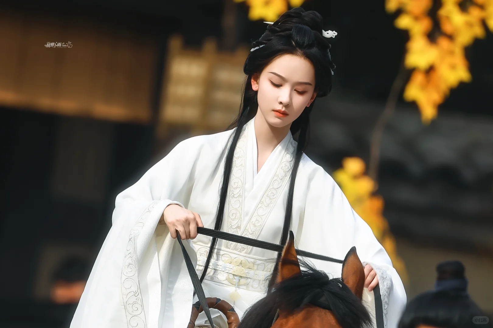 仙门师姐