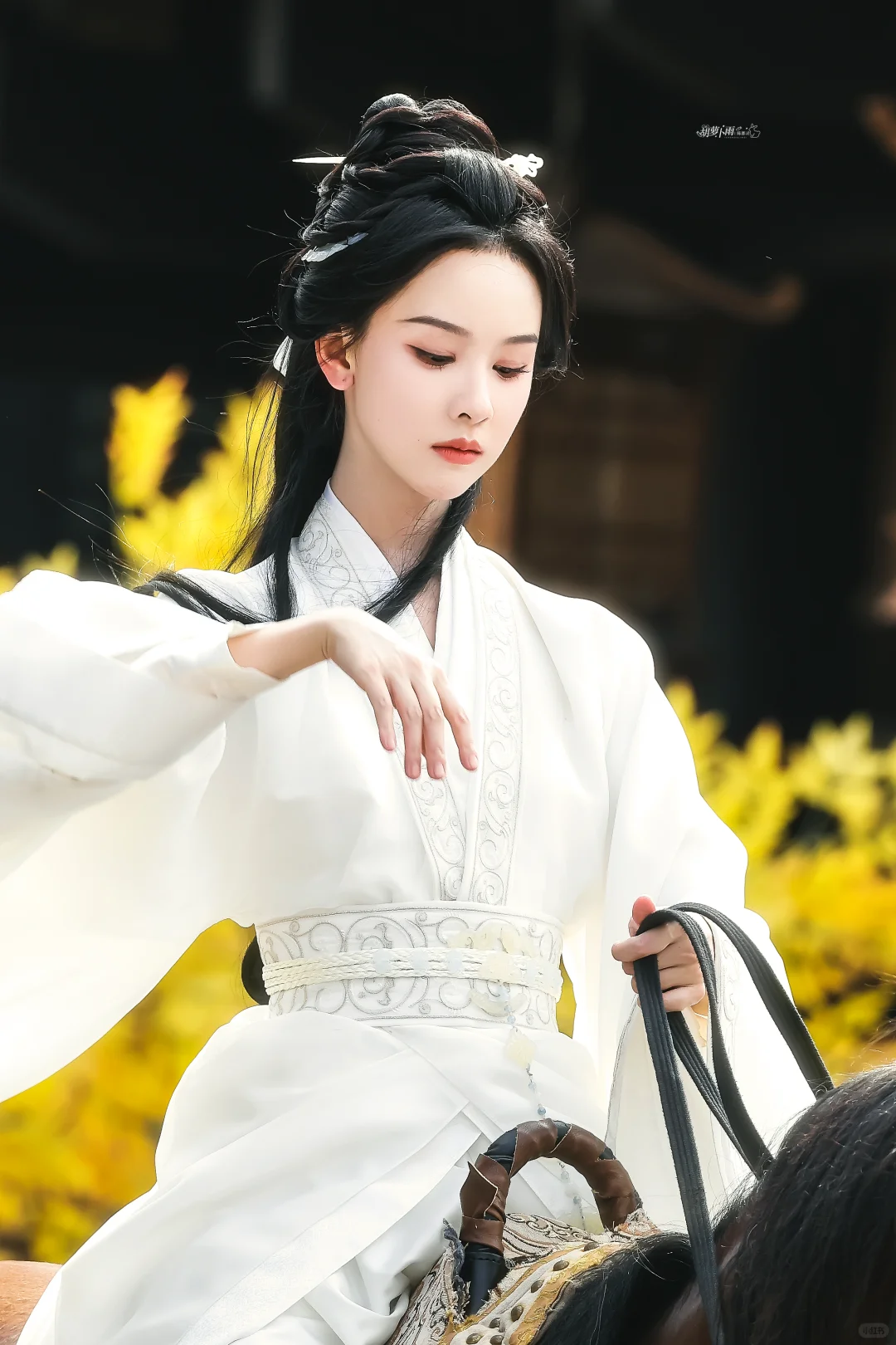 仙门师姐