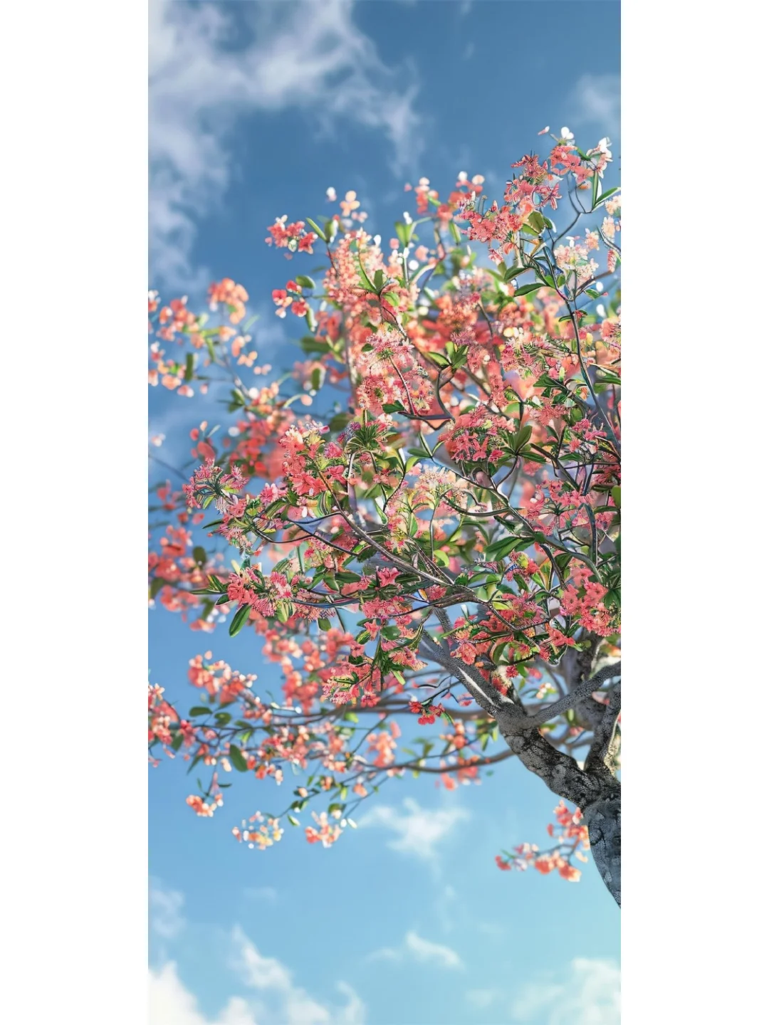 清新风景治愈锁屏壁纸