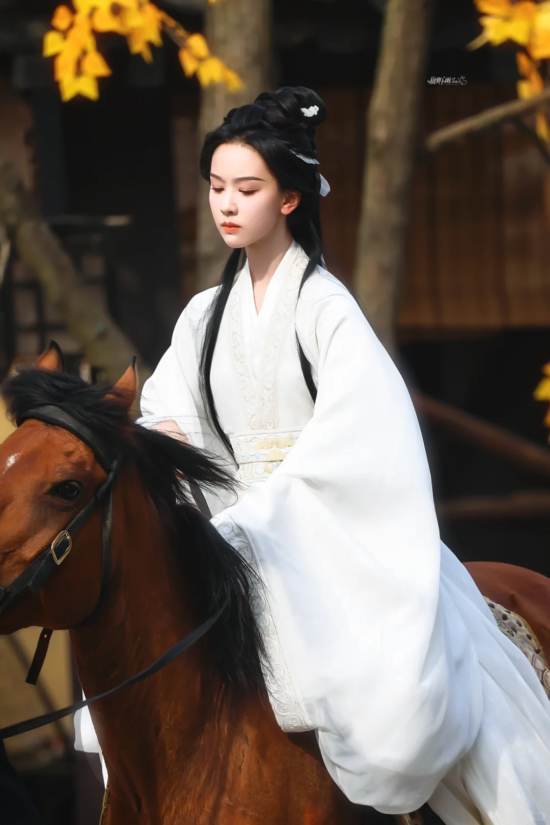 仙门师姐