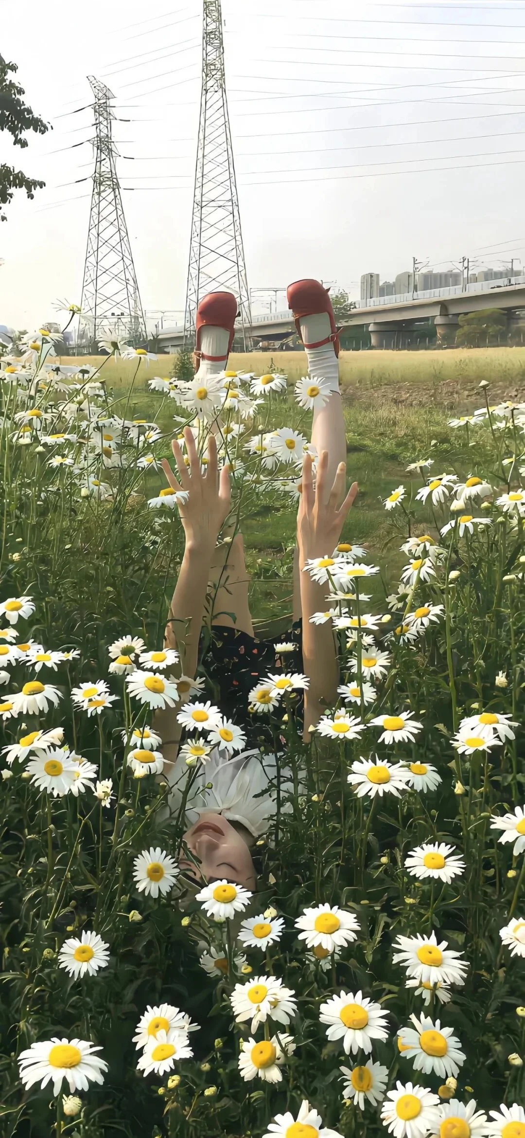 高级小众手机壁纸