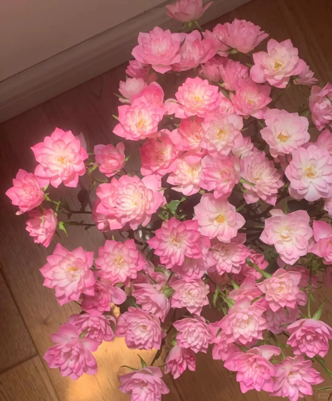 总要穿一次紫色吧？
