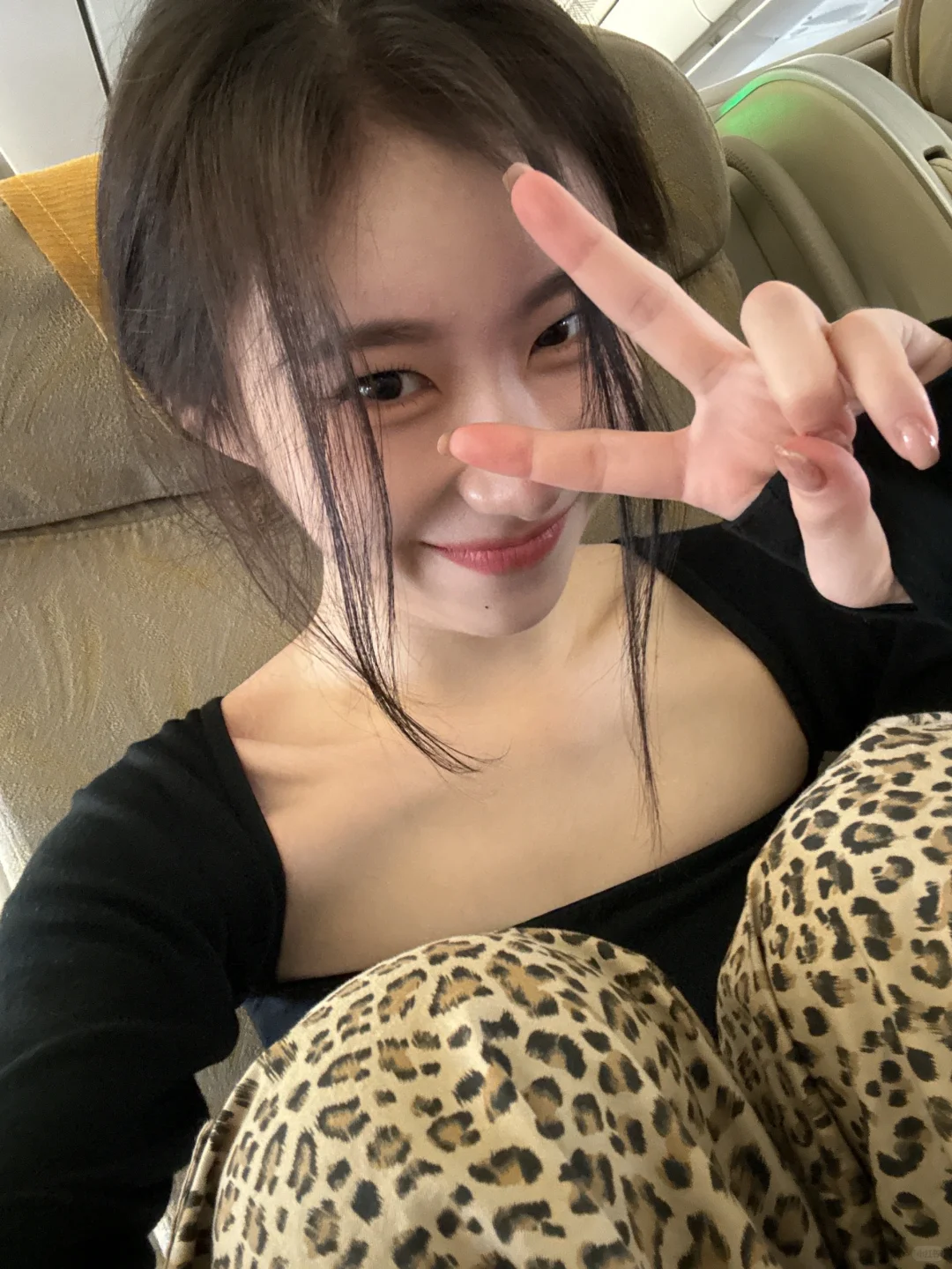 狐系美人提名