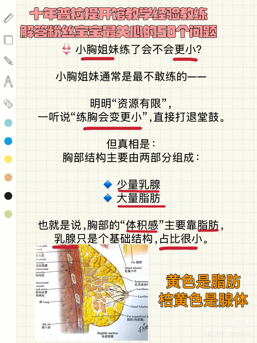 女生该不该练胸？是变大还是变小？