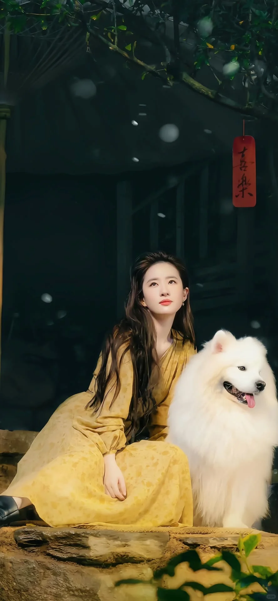 YH壁纸分享—女生专用壁纸