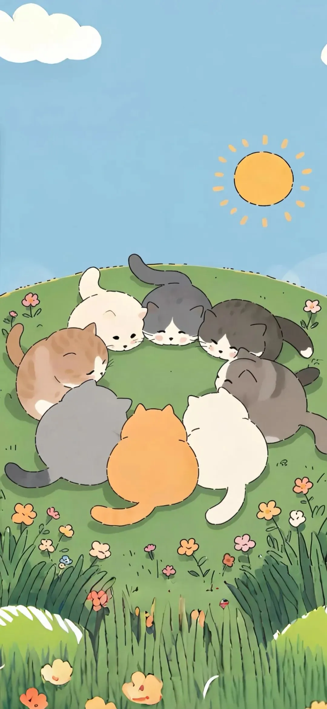 猫猫壁纸合集