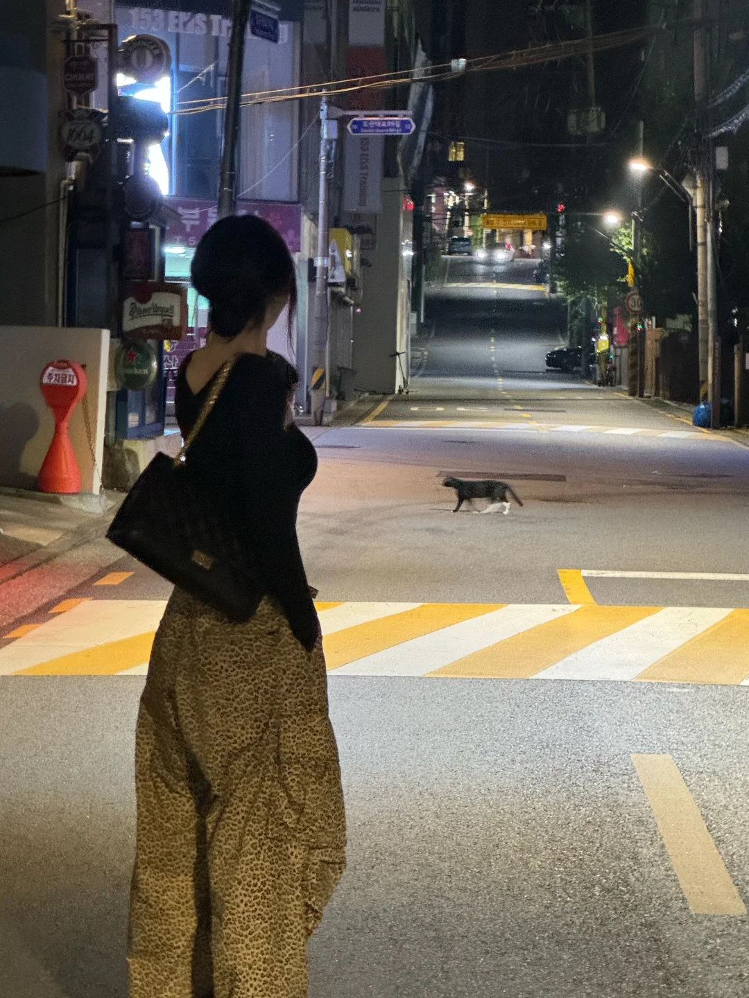 狐系美人提名