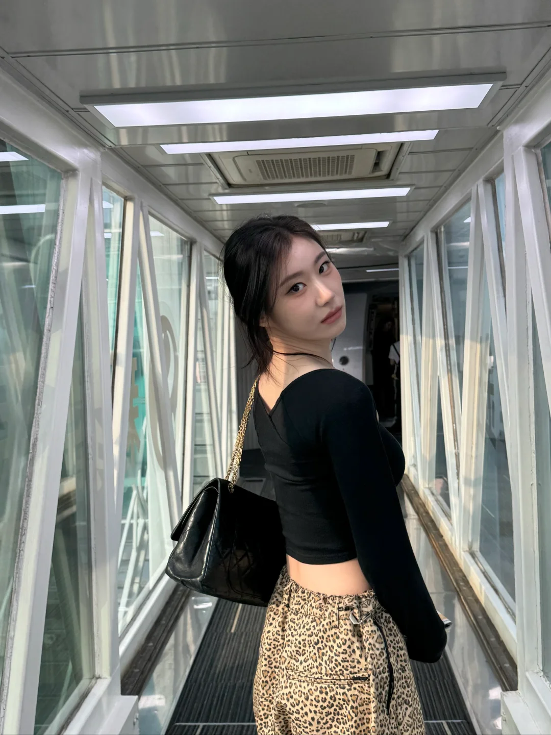 狐系美人提名