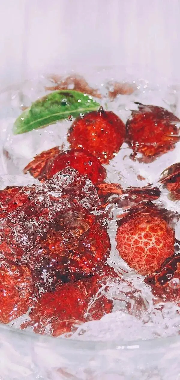 高清壁纸｜背景图 清凉一夏🥤
