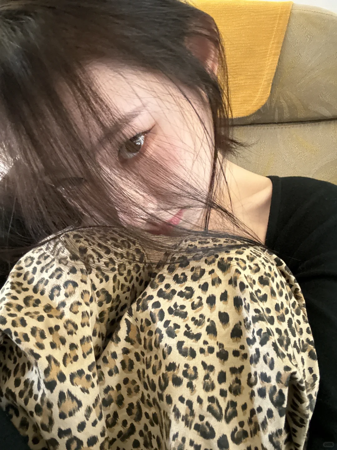 狐系美人提名