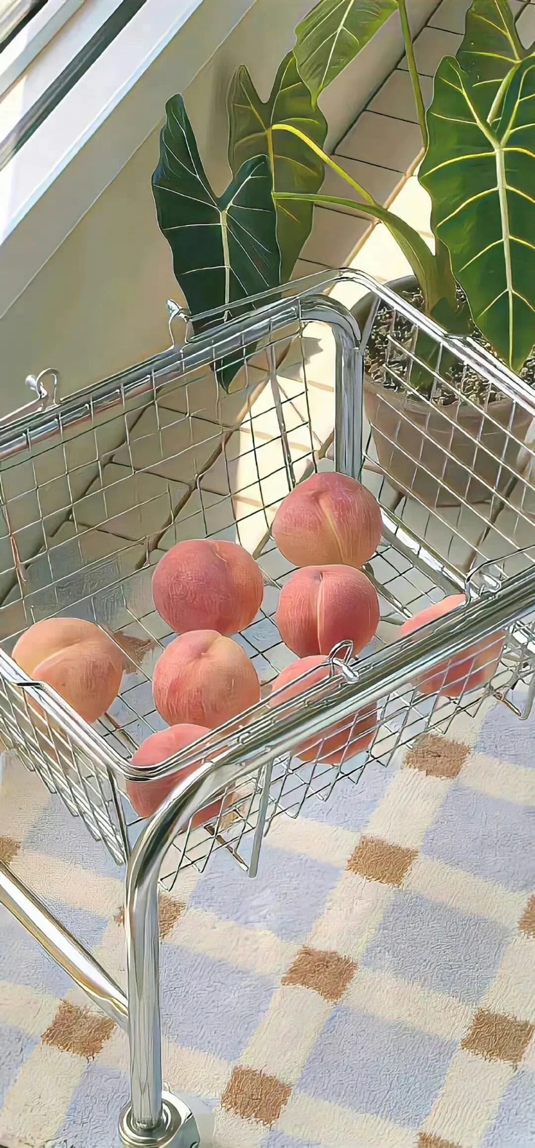 高清壁纸｜背景图 清凉一夏🥤