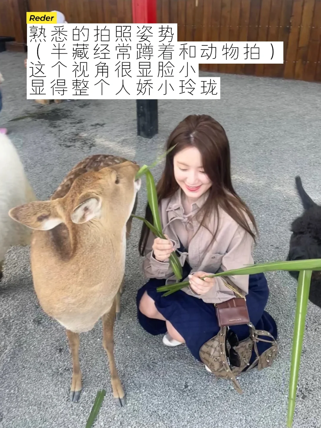 男生就吃叶舒华这套清纯矜贵好嫁风🫖🌿