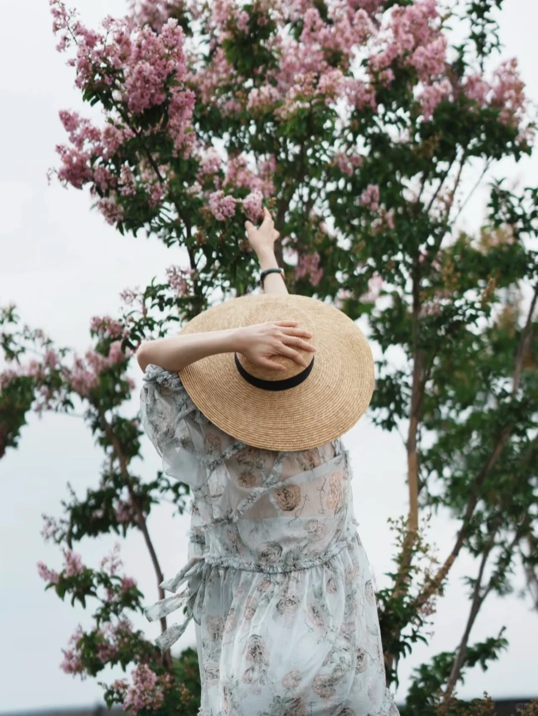 李梦｜天秤女的灵性与任性
