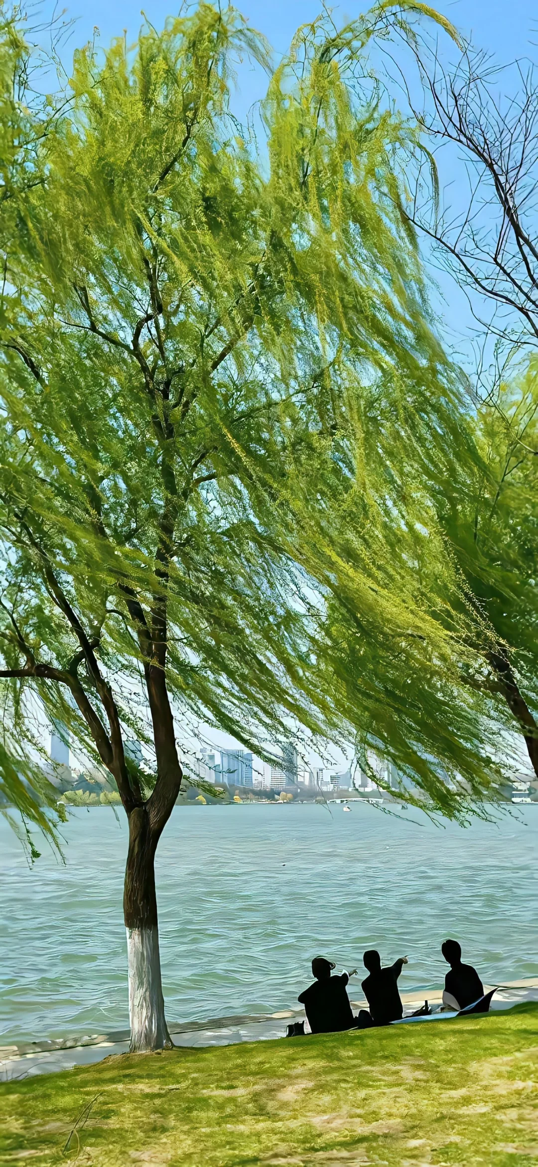 𝙒𝙚𝘾𝙝𝙖𝙩｜高清ins风景壁纸～