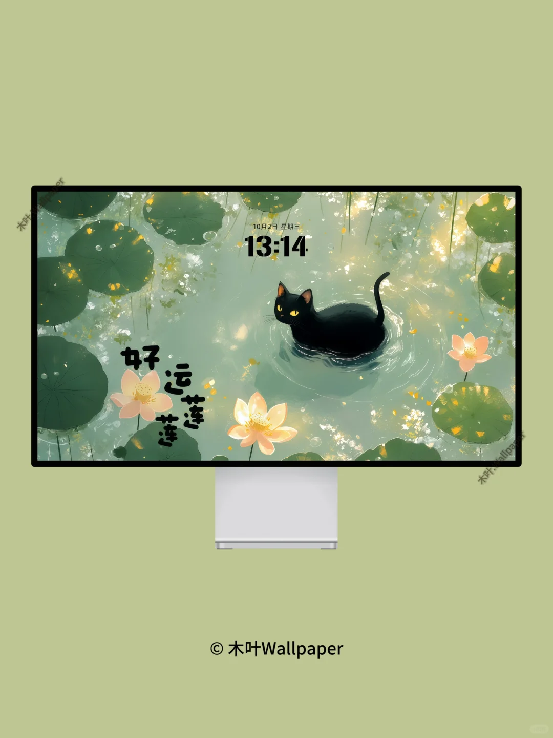 好运莲莲｜W035