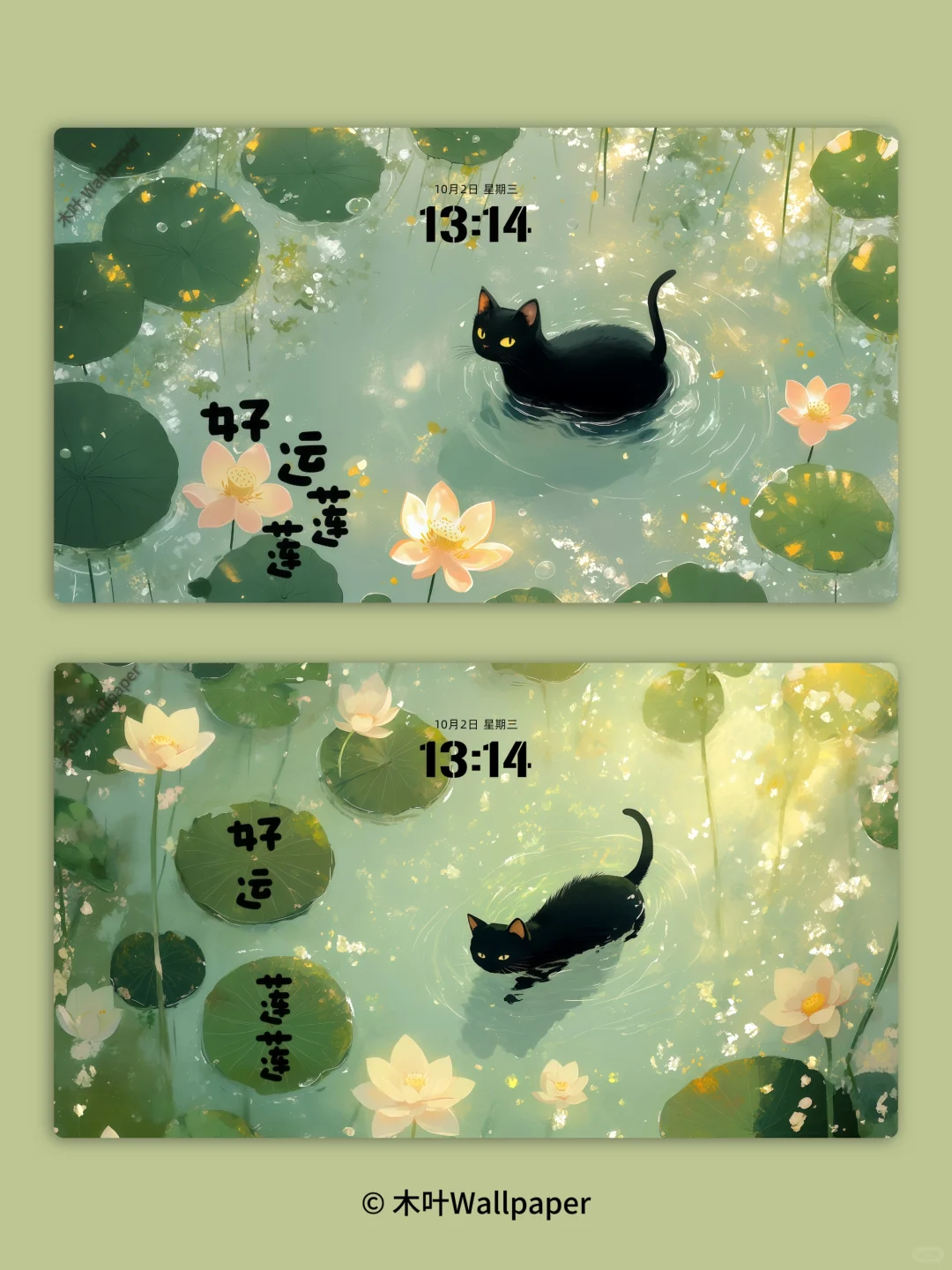 好运莲莲｜W035