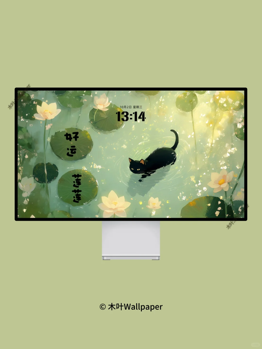 好运莲莲｜W035