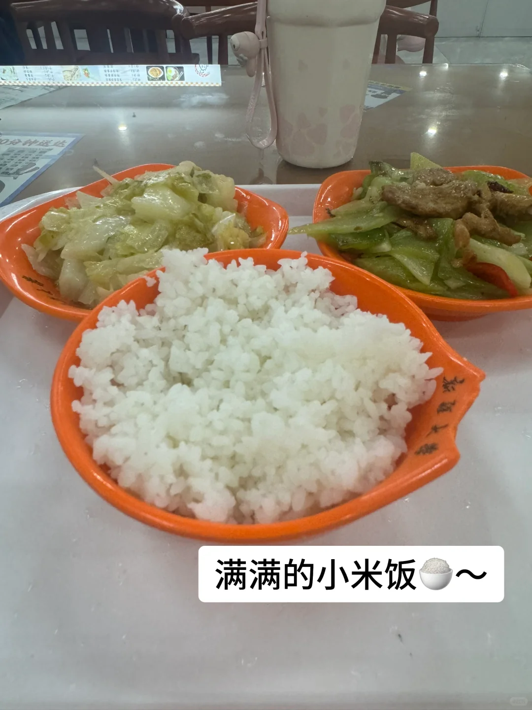 163 78一日1580kcal｜你能吃的比想象中多！