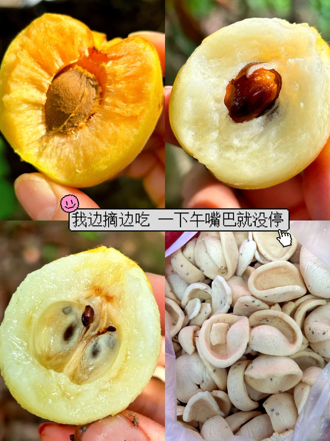 DAY958 每天2600+大卡也能体重不过百？