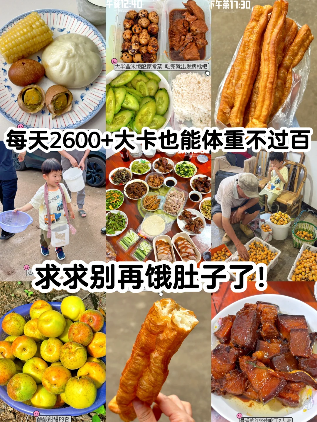 DAY958 每天2600+大卡也能体重不过百？