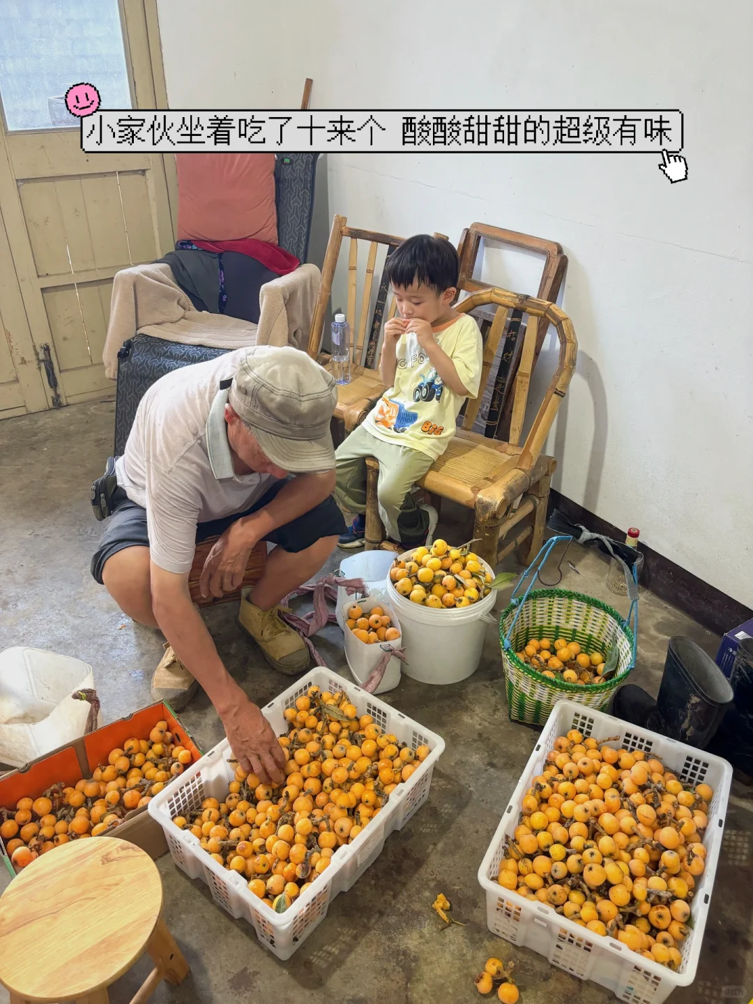 DAY958 每天2600+大卡也能体重不过百？