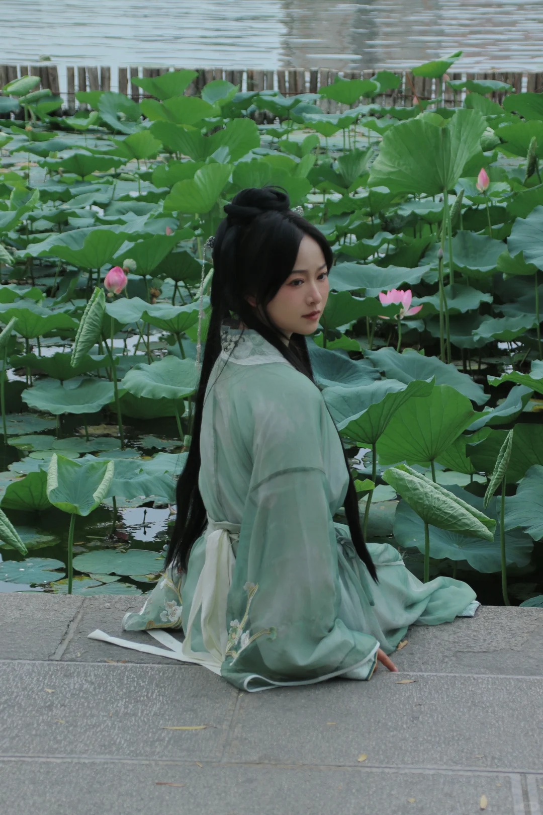 还记得大明湖畔的夏雨荷吗