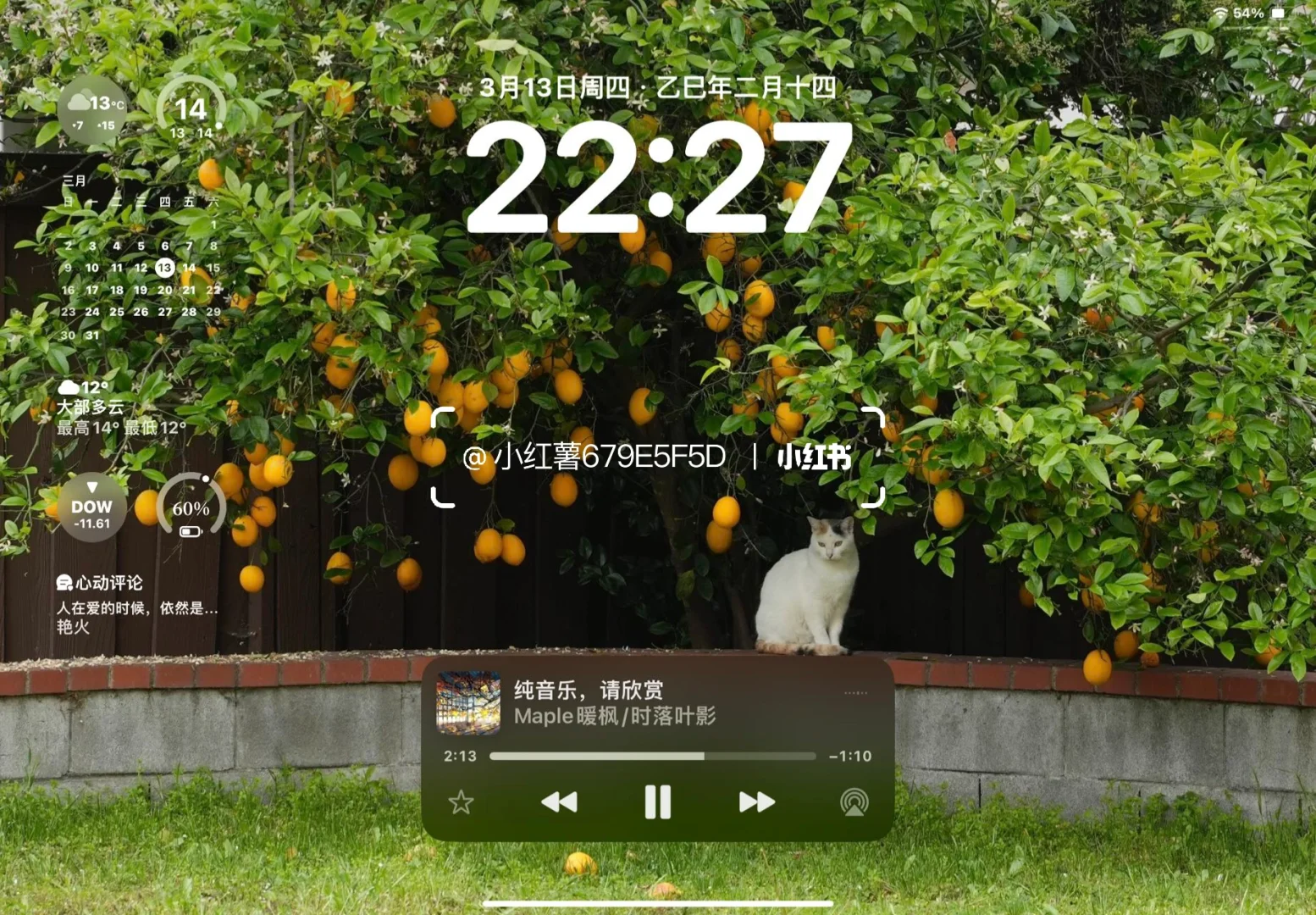 iPad高清壁纸 | 绝美氛围感 | 我不信30张没