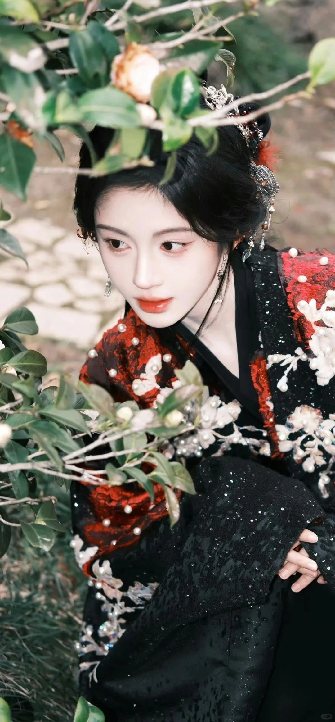 壁纸-鞠婧祎3