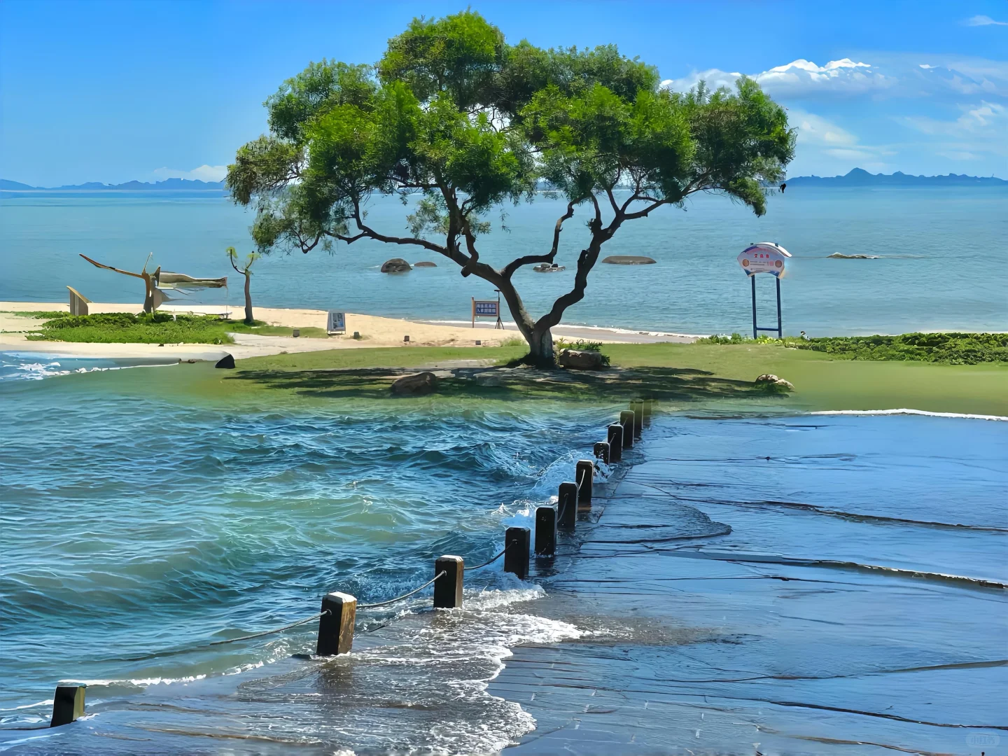 治愈系壁纸｜禁止焦绿🌿🌸