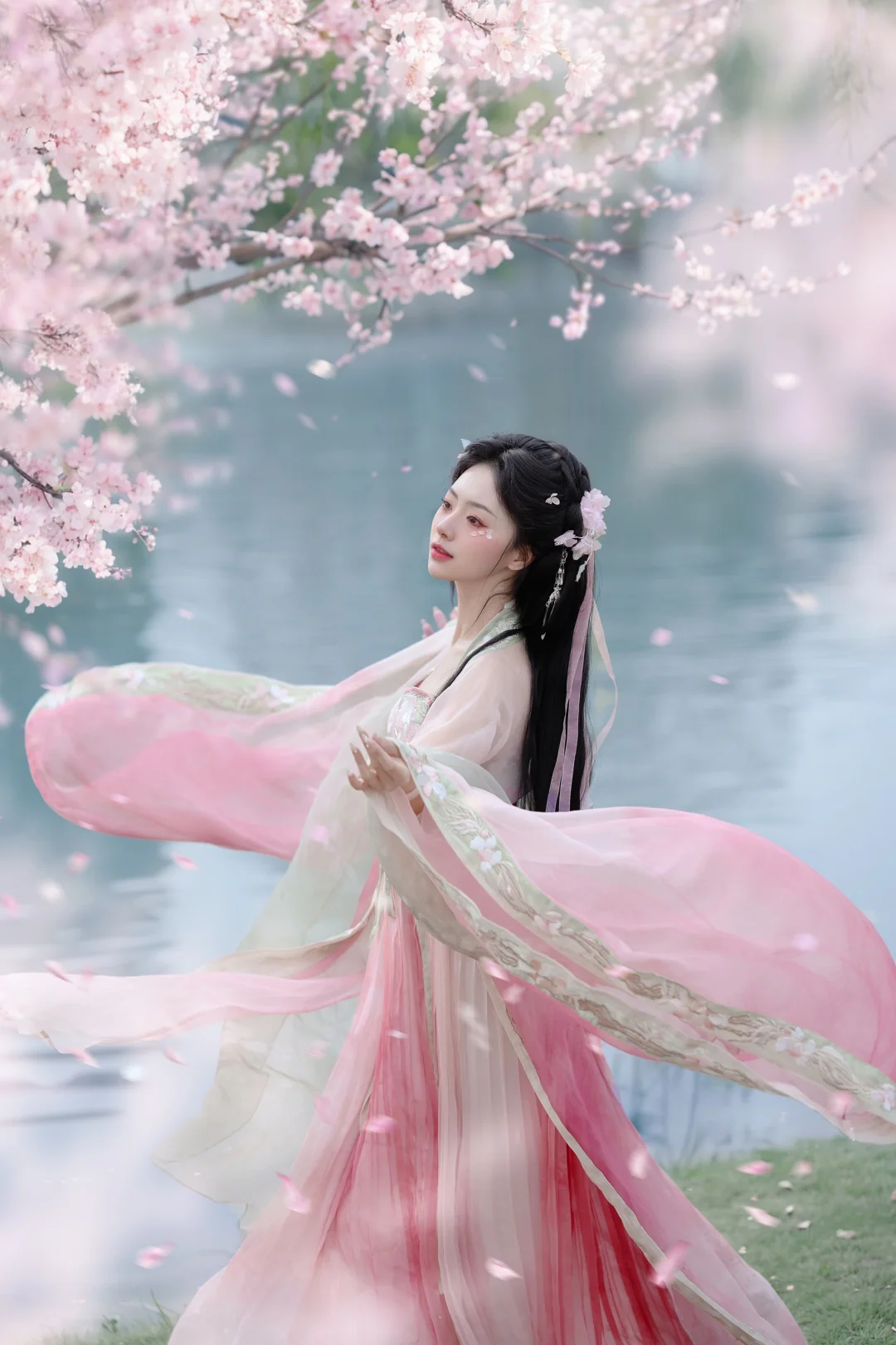 樱花｜春有约🌸花不误