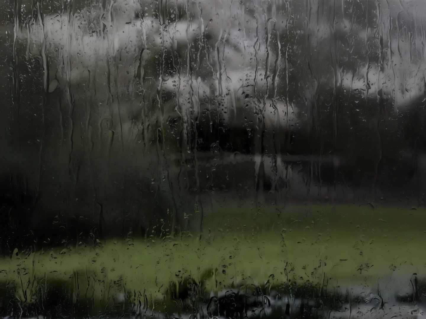 𝐢𝐩𝐚𝐝壁纸｜🌨 “可否回春”🌲
