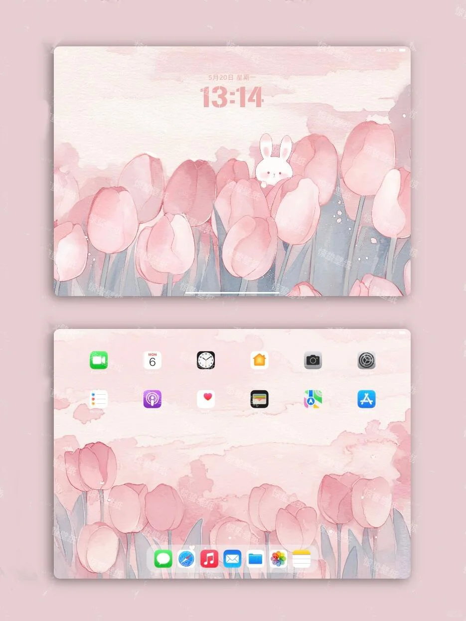 郁金香与小兔子🐰