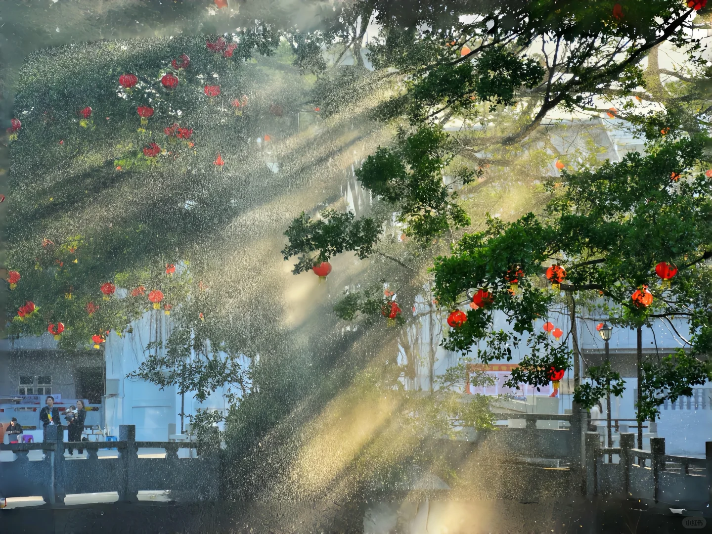 治愈系壁纸｜禁止焦绿🌿🌸