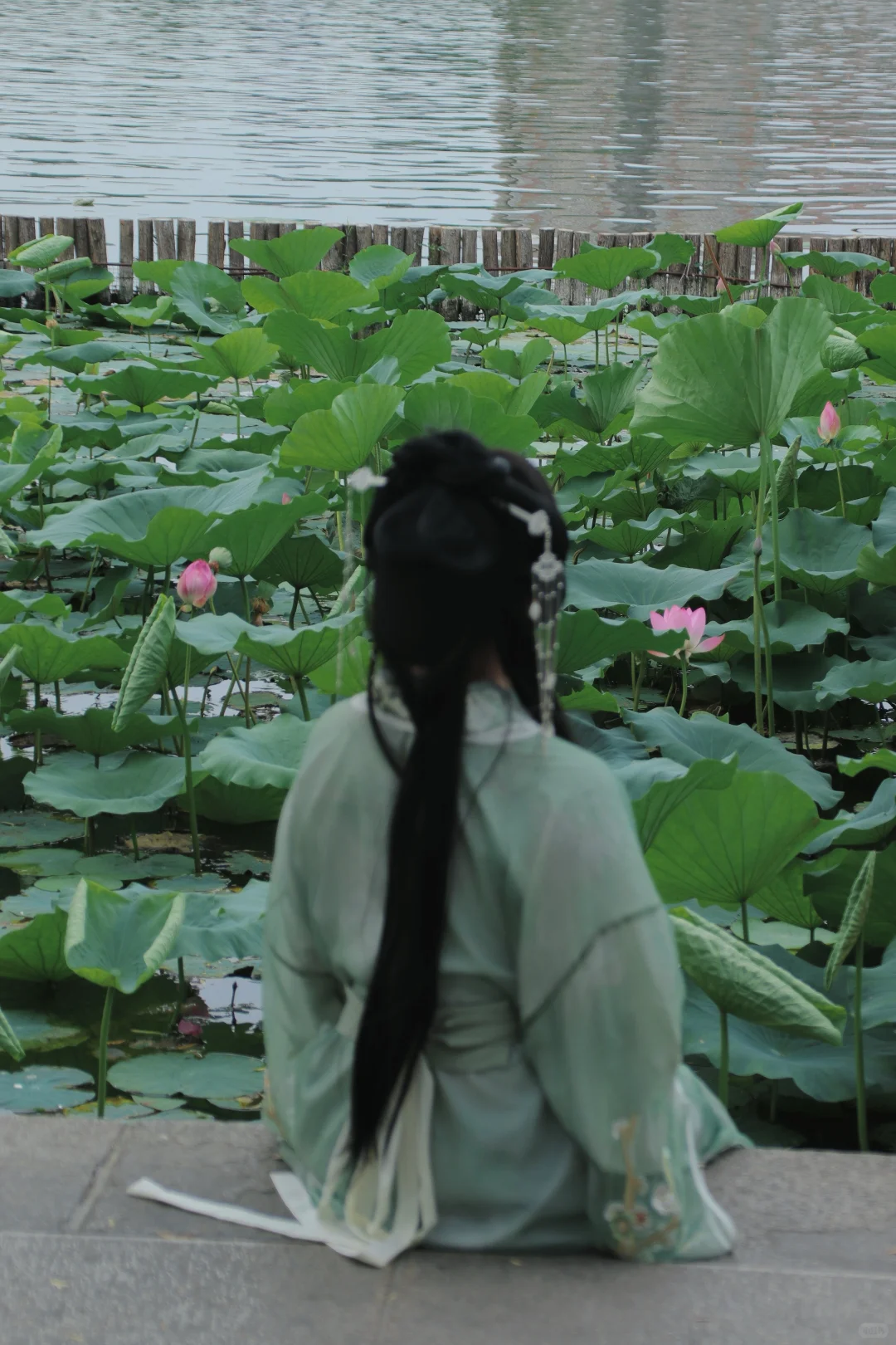 还记得大明湖畔的夏雨荷吗