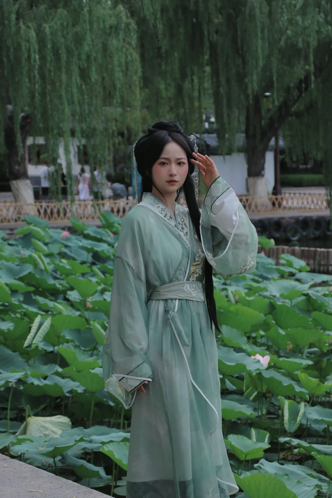 还记得大明湖畔的夏雨荷吗