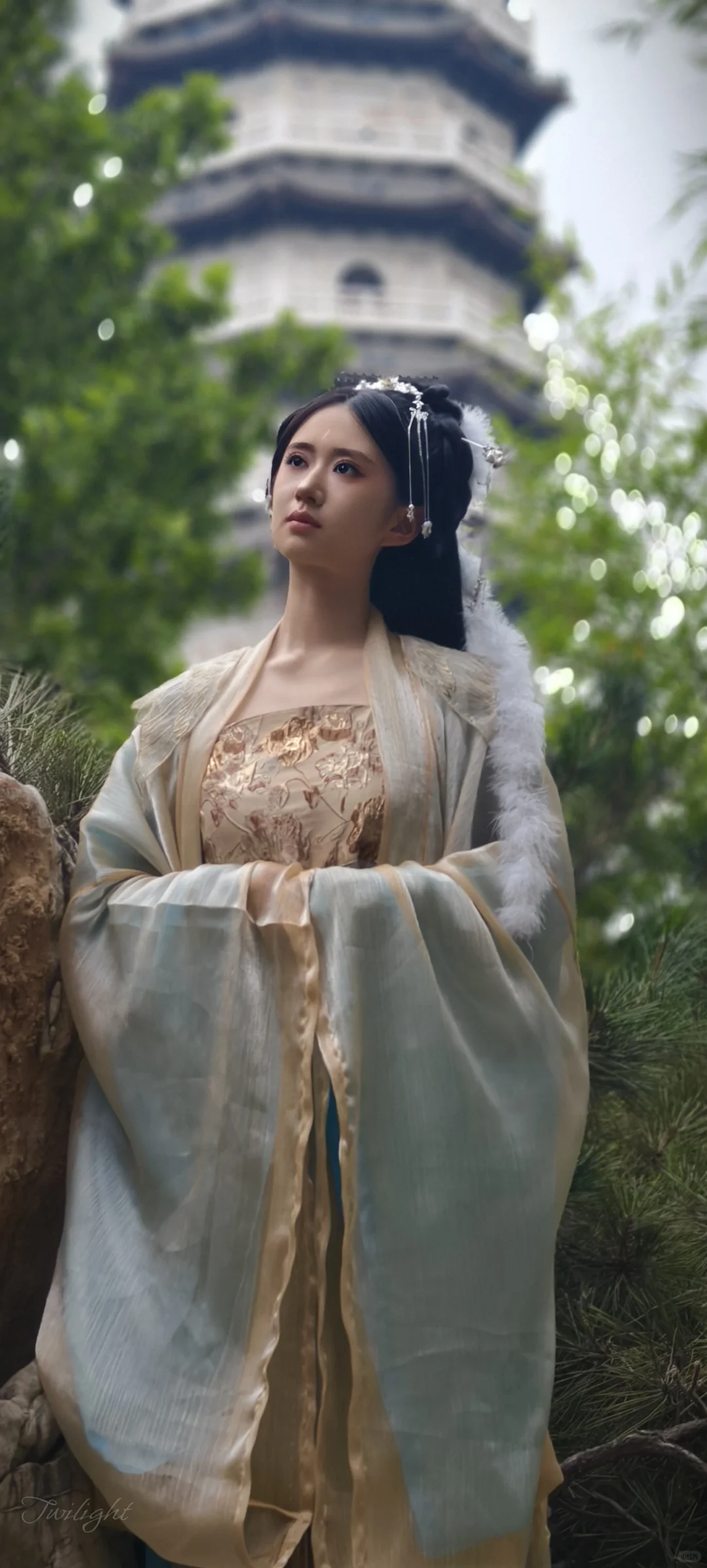 出图了