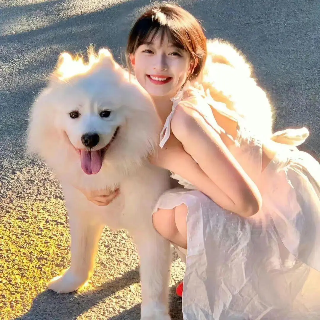 Wechat|可爱宠物女生头像