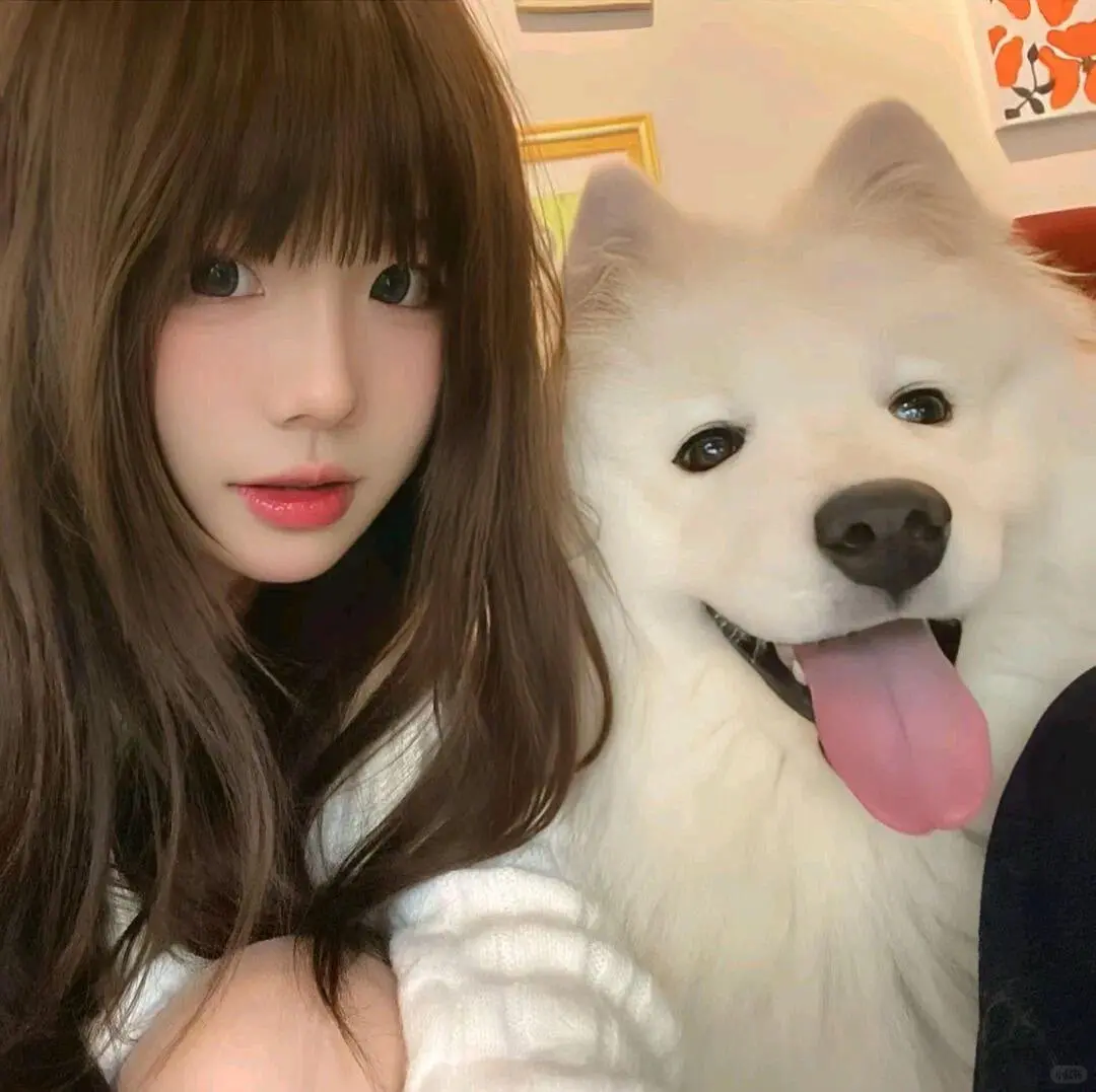 Wechat|可爱宠物女生头像