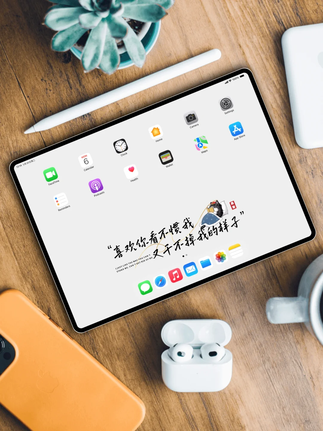 iPad壁纸｜245｜对我有意见 那就憋着吧