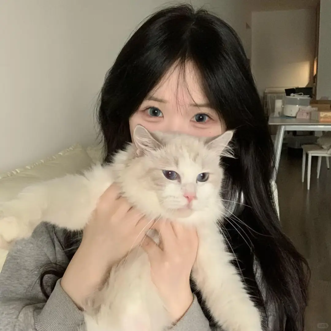 Wechat|可爱宠物女生头像