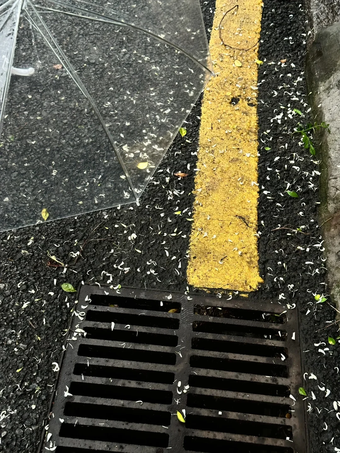 18张爆款氛围感live｜高清未使用｜喜欢拿