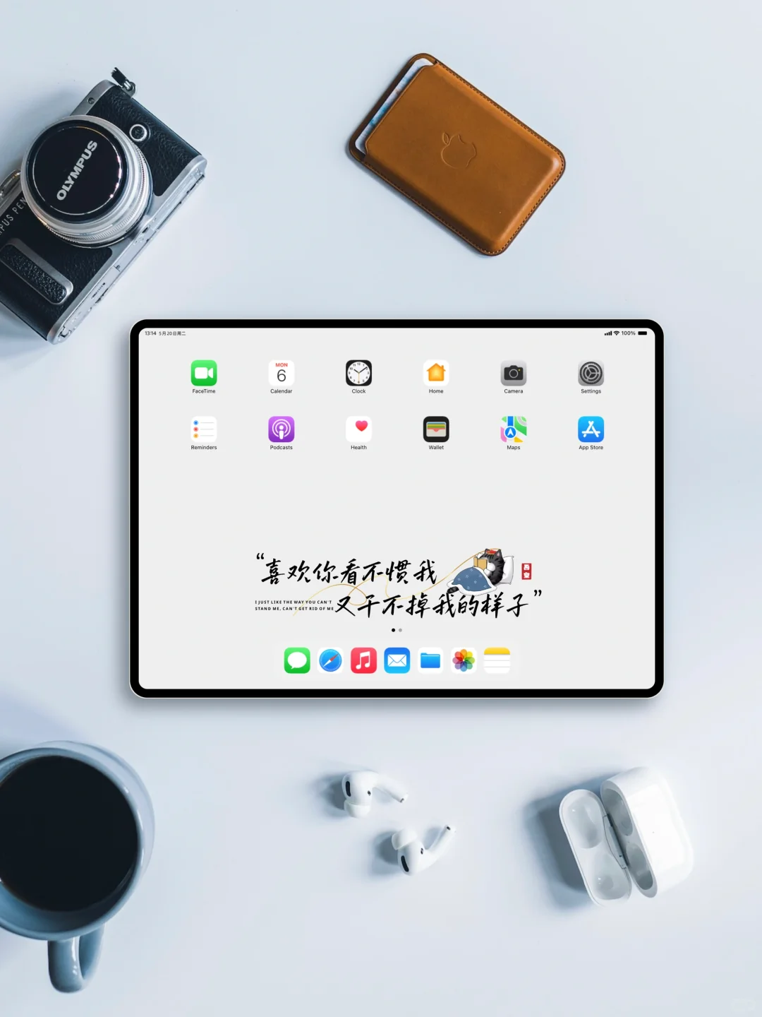iPad壁纸｜245｜对我有意见 那就憋着吧