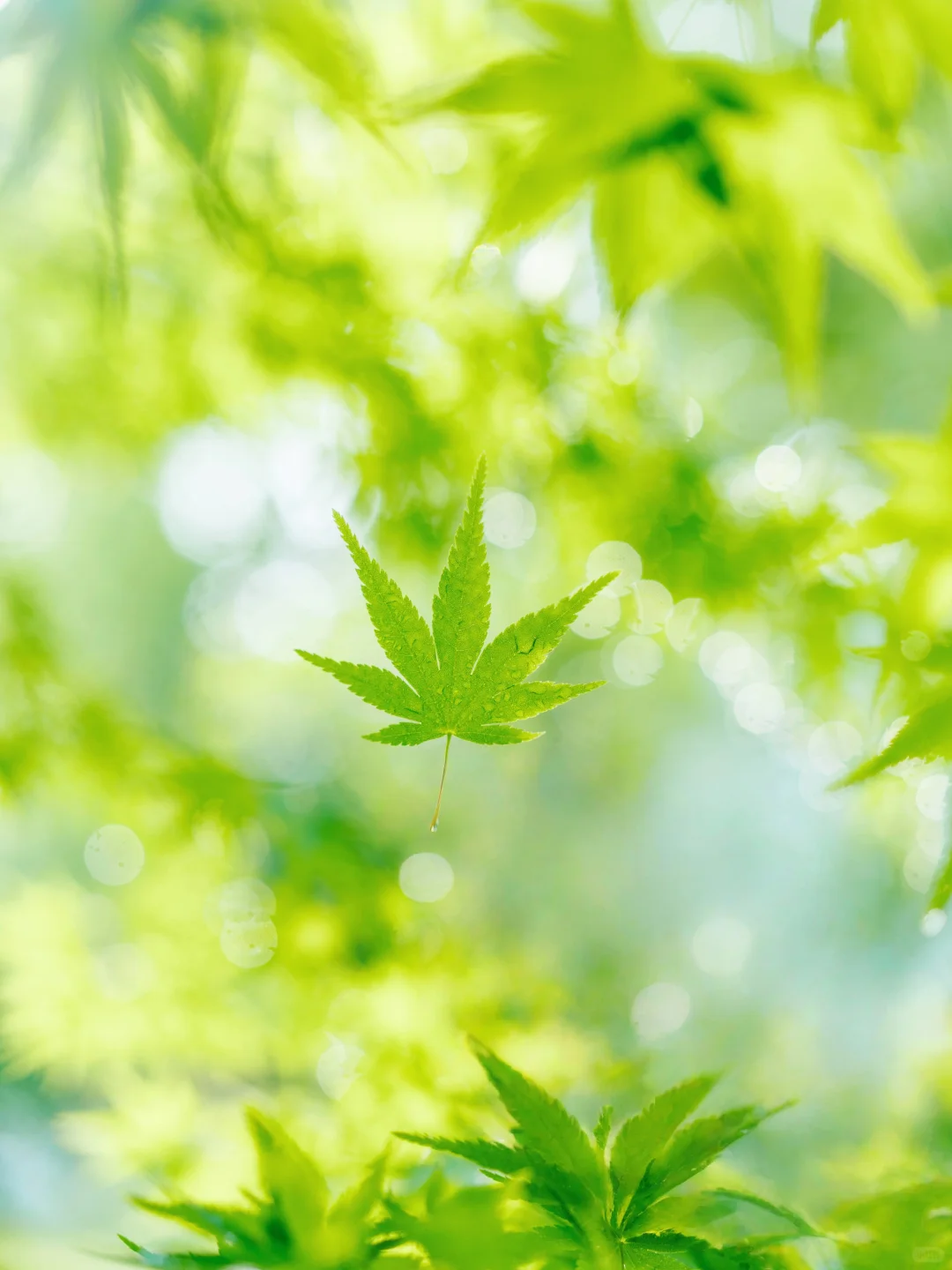 你可能不认识我，也一定没看过我拍的照片